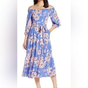 Eliza J Long puff Sleeve Floral whimsy, romantic Dress in Blue and Pink size 10
